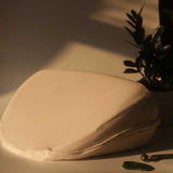 A Dame Pillo sex pillow wedge is illuminated by warm sunlight, creating gentle shadows. Close by, a dark green potted plant enhances the peaceful ambiance, while a small jade roller and an elegant G-spot vibrator sit nearby. The setting radiates a tranquil and serene atmosphere.