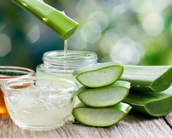 Close-up of freshly sliced aloe vera leaves with gel dripping into a jar, surrounded by bowls of natural aloe gel, placed on a wooden surface. The vibrant green of the aloe contrasts with the clear, smooth gel, representing the natural ingredients used in aloe vera lubricant.