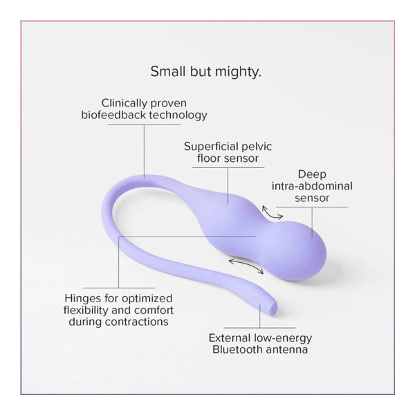 A diagram of the Perifit Care+ by Perifit, a small purple biofeedback device, displays its parts: superficial pelvic floor sensor, deep intra-abdominal sensor, external Bluetooth antenna, and flexible hinges. Text reads "Small but mighty" and "Clinically proven technology for pelvic floor strengthening and bladder leakage.